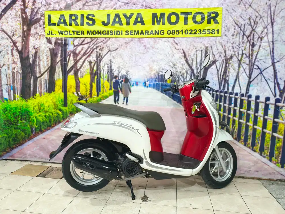 Scoopy stylish istimewa