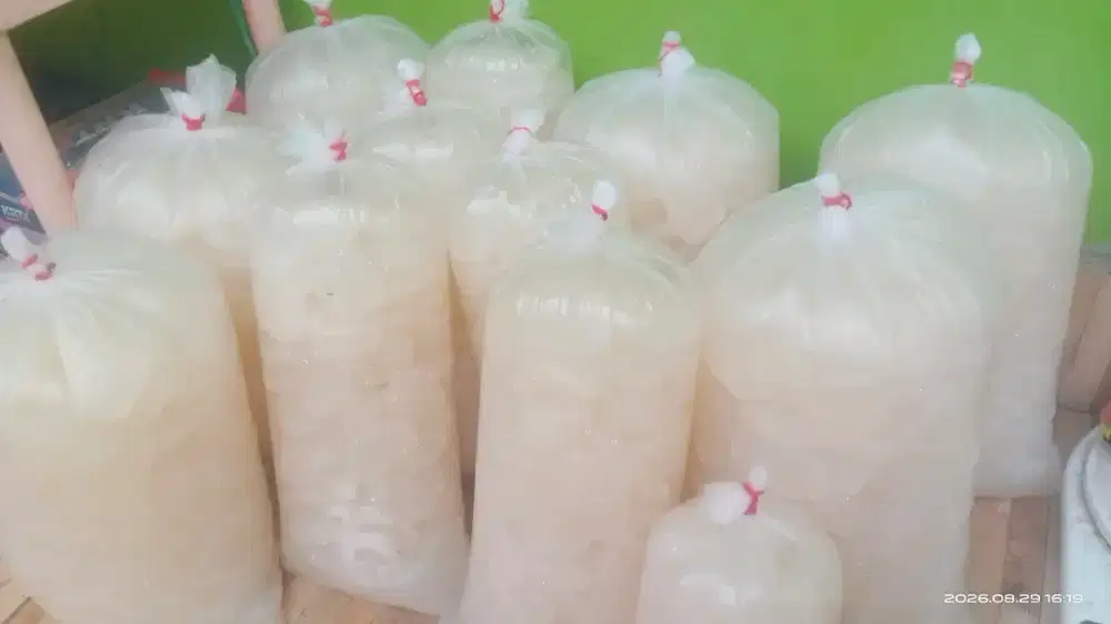 Kolang Kaling /ceruluk