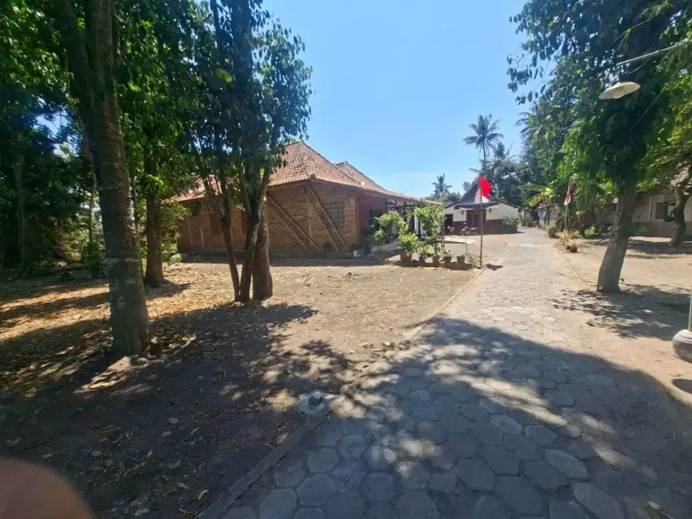 Tanah Pekarangan Bagus Murah di Pandak Bantul#Kode : TP 101