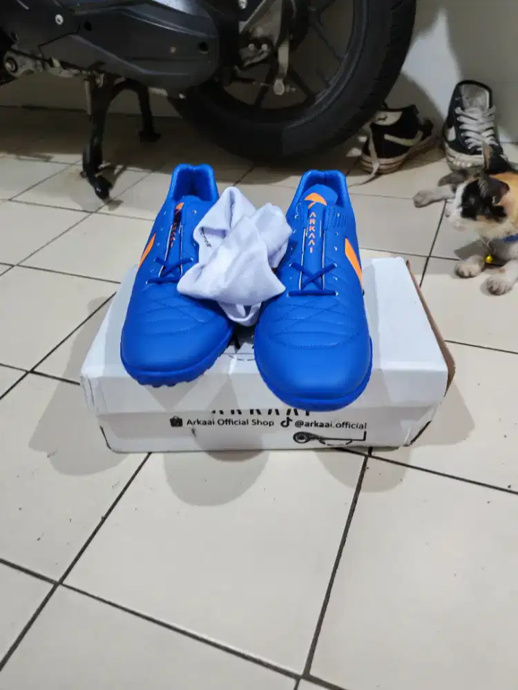 Sepatu futsal arkaai