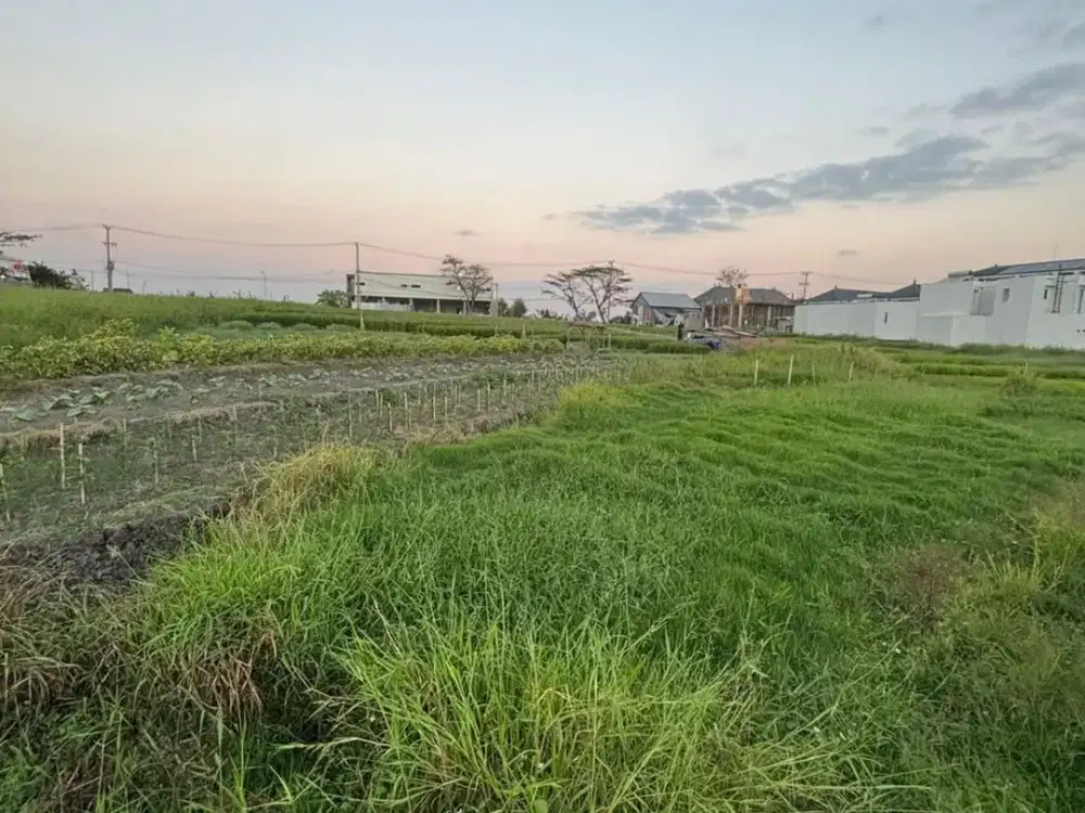 TANAH KOSONG DI SESEH BADUNG DEKAT PANTAI SESEH