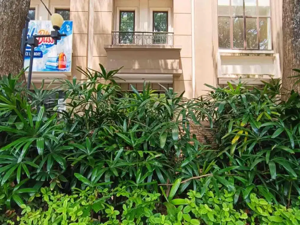 Disewakan Ruko Orchard Park 3 Lantai Lokasi Batam Center