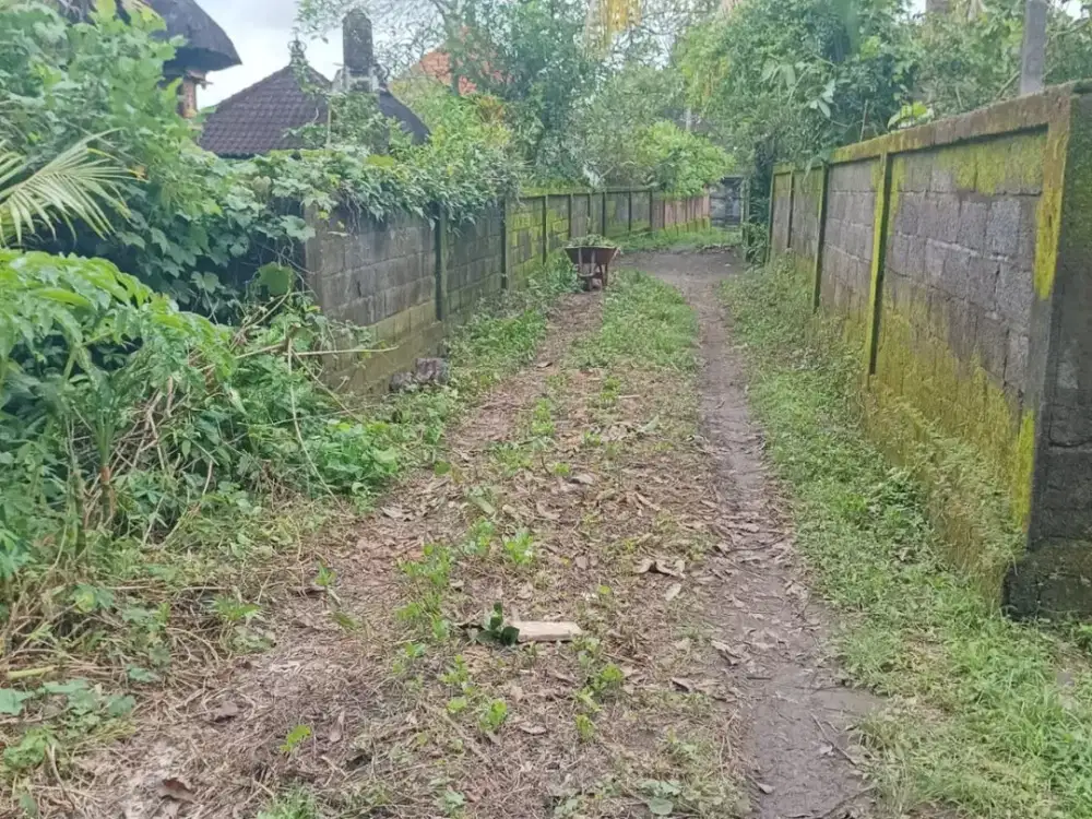 Dijual tanah komersil los sungai lokasi kaba kaba  Dekat ke pantai seseh munggu