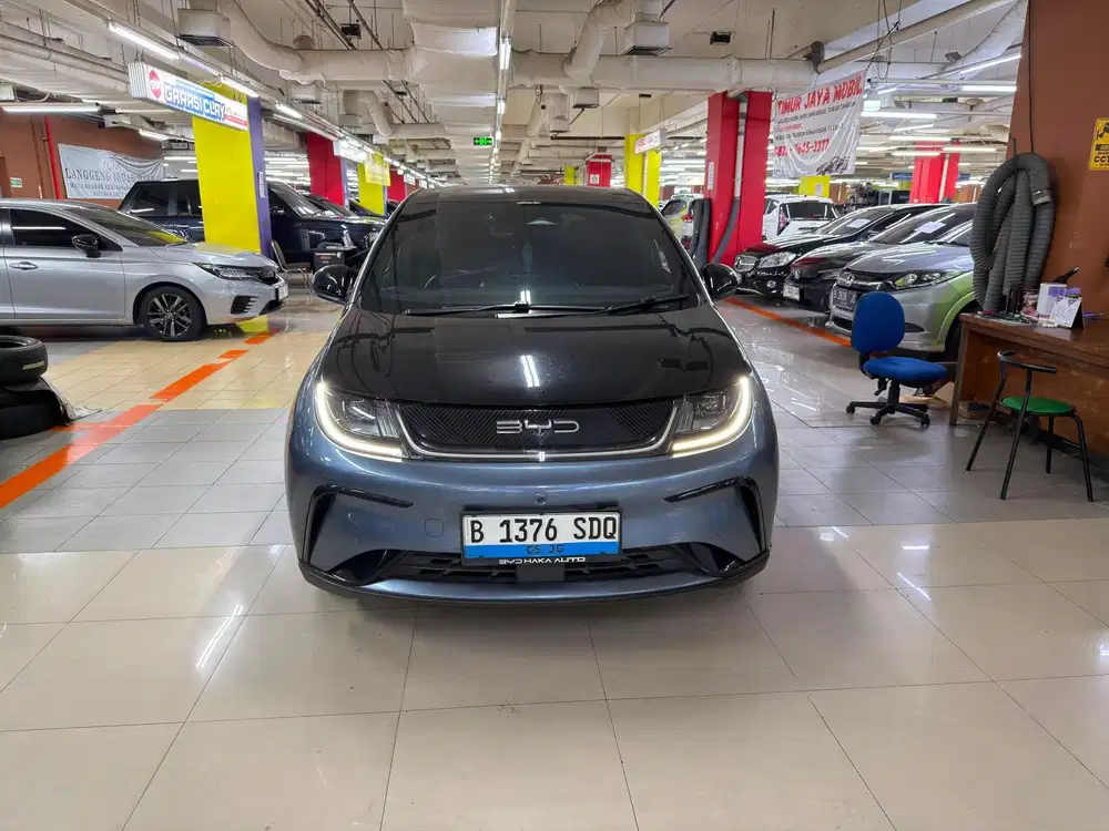 Byd Dolphin Premium Ev 2023 km 55 rban