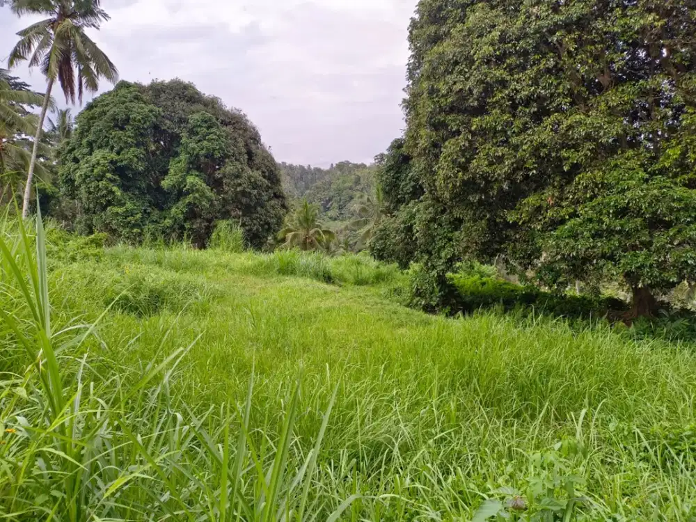 Freehold/Dijual Tanah los Sungai Wos