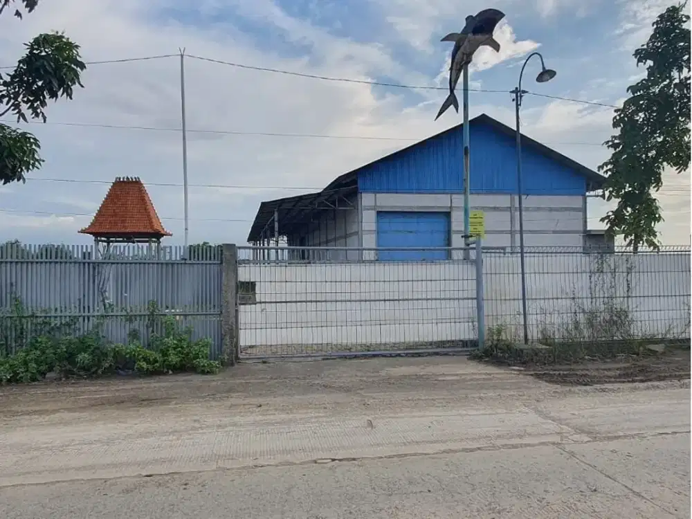 Dijual Gudang Bagus & Strategis Di Demak Semarang