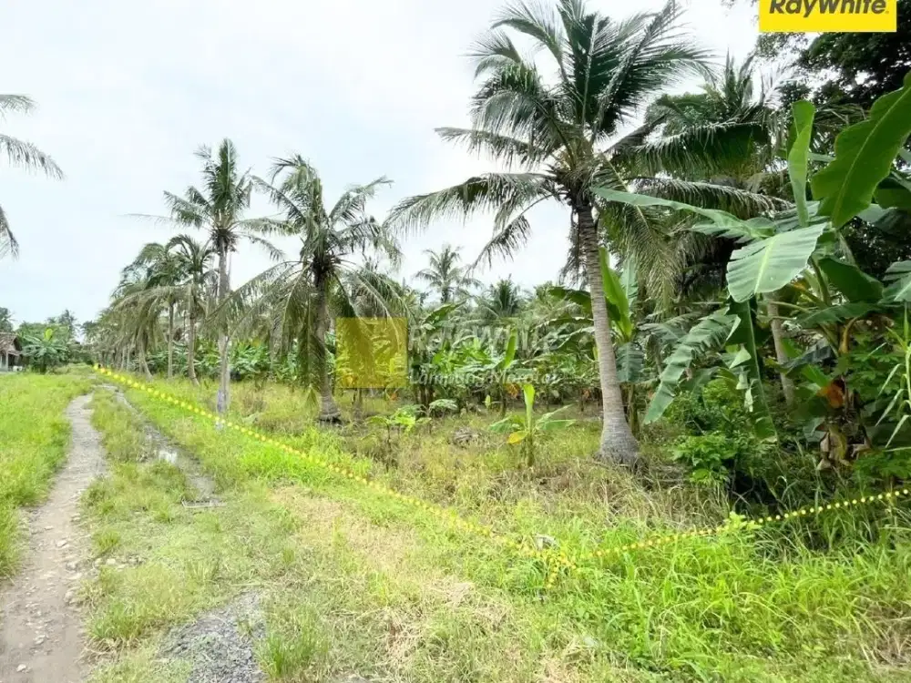 Dijual Tanah di Ketapang, Lampung Selatan (Kode : MH 3768)