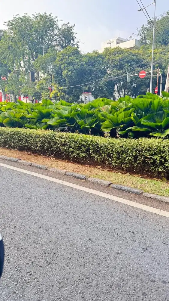Dicari ART 1 MINGGU untuk momong dan beberes