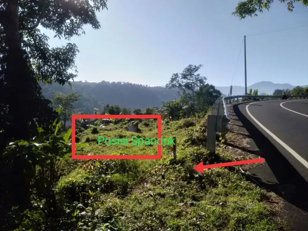 Dijual Tanah 26 are pinggir jalan Propinsi Seririt-Banyuatis