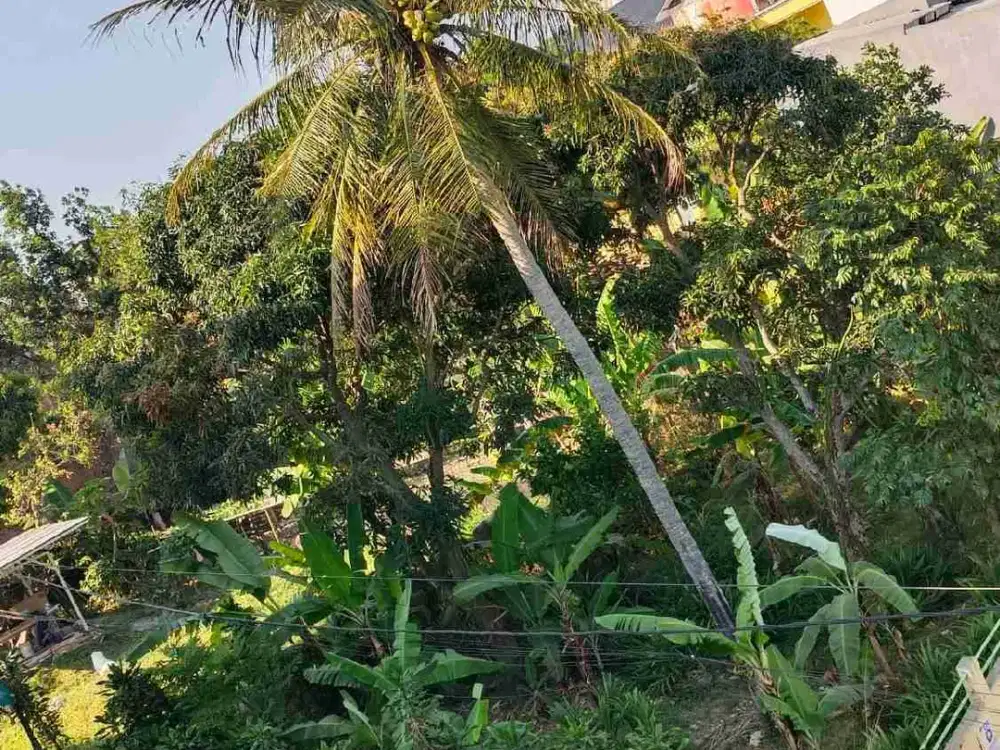 DIJUAL TANAH 
DEKAT KAMPUS JATINANGOR
