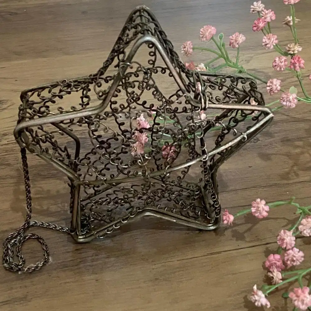 Vintage bronze star cage purse