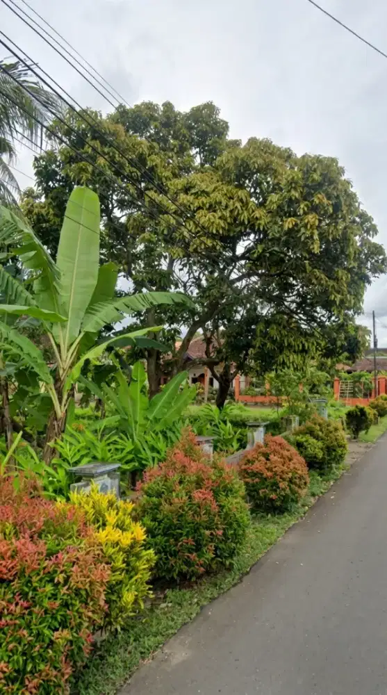 Dijual Tanah Lokasi Kepanjen Malang