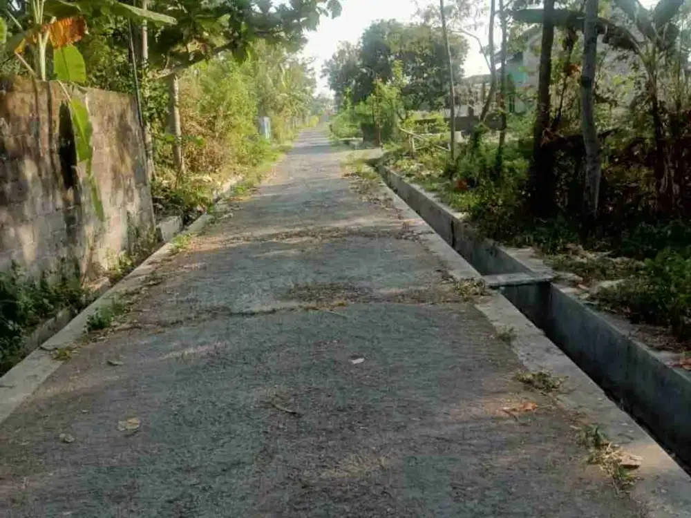 Disewakan Tanah 800m Jetis Tirtomartani Kalasan Sleman