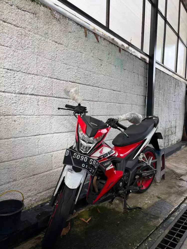 Sonic 2021 mulus