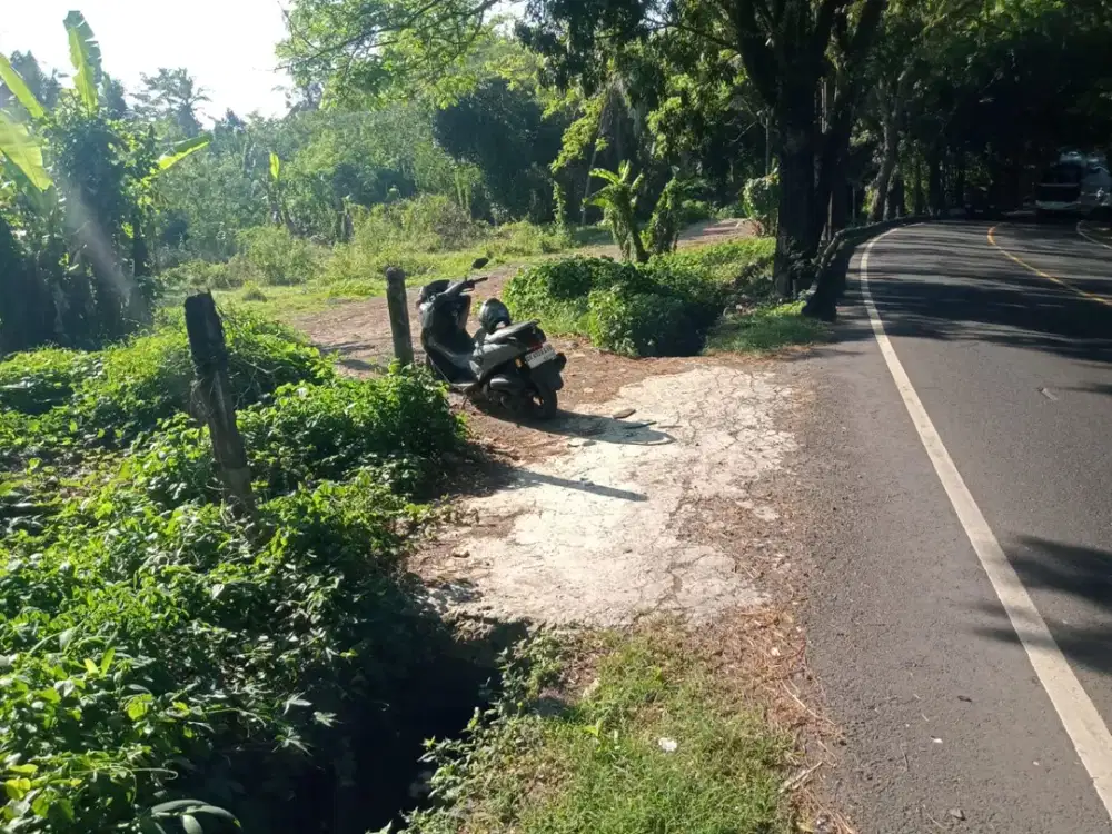 TANAH DIJUAL – MANDUNG, TABANAN