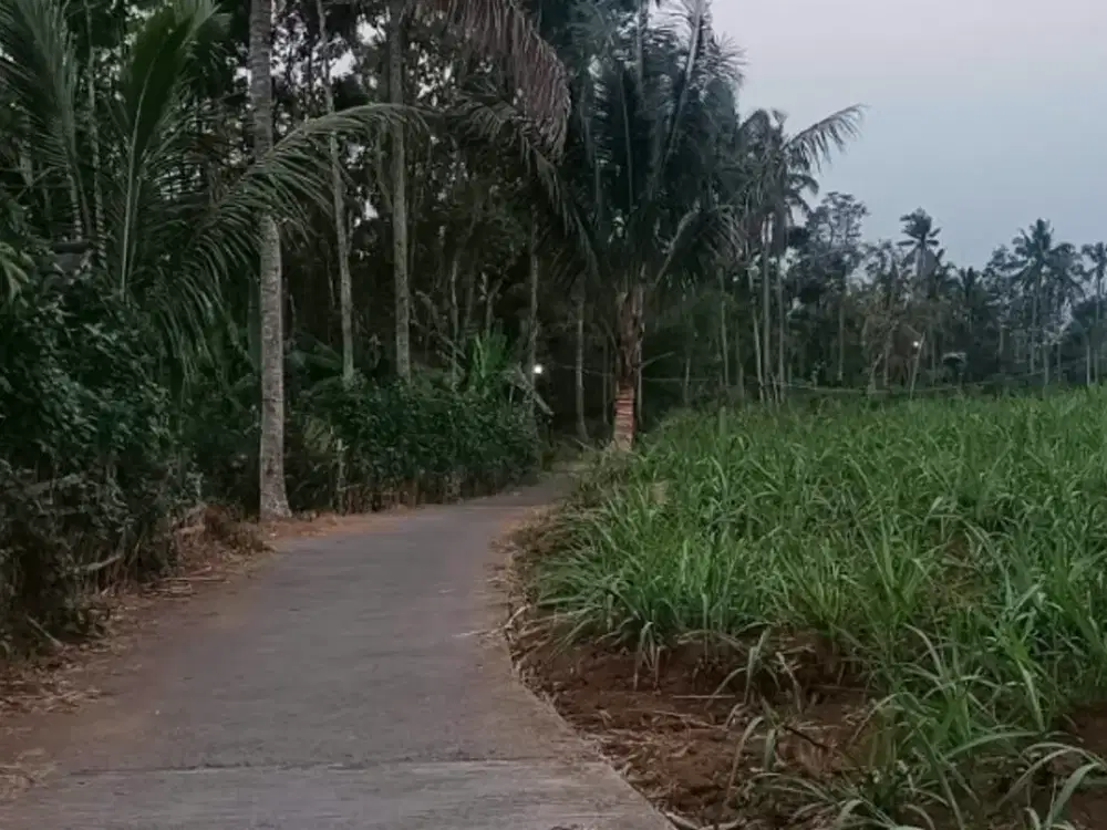 Tanah Wagir Dekat dengan banyak perumahan