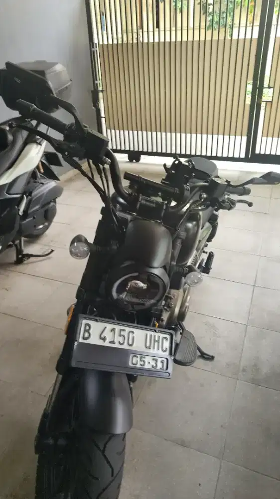 SRV 250 qj motor