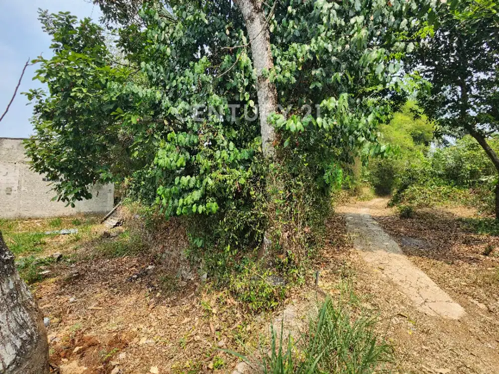 Tanah Luas Di Tajur Halang Sawangan, Cocok Untuk Perumahan
