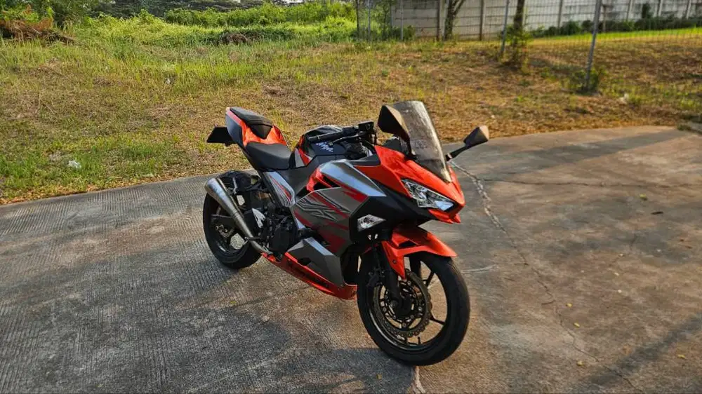 Kawasaki Ninja 250 Magnetic Design Paint