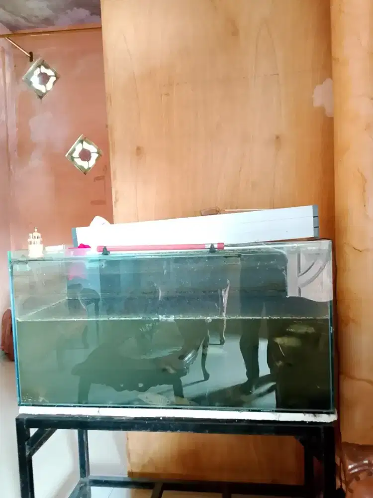 Dijual aquarium tebal 8 mili