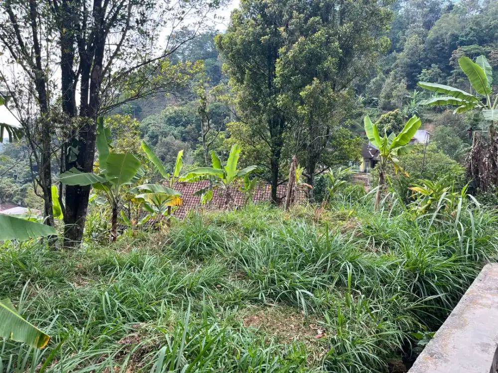 Tanah Strategis Ubtuk Villa Kawasan Wisata Kemuning, Ngargoyoso