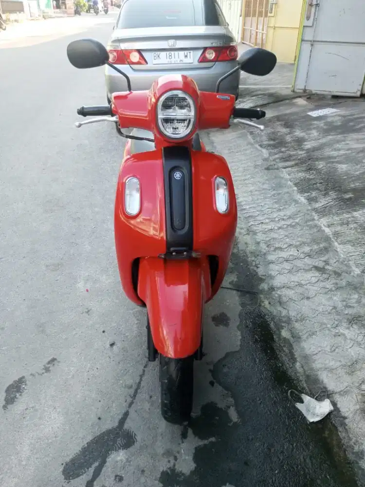 Fazzio 2022 matic