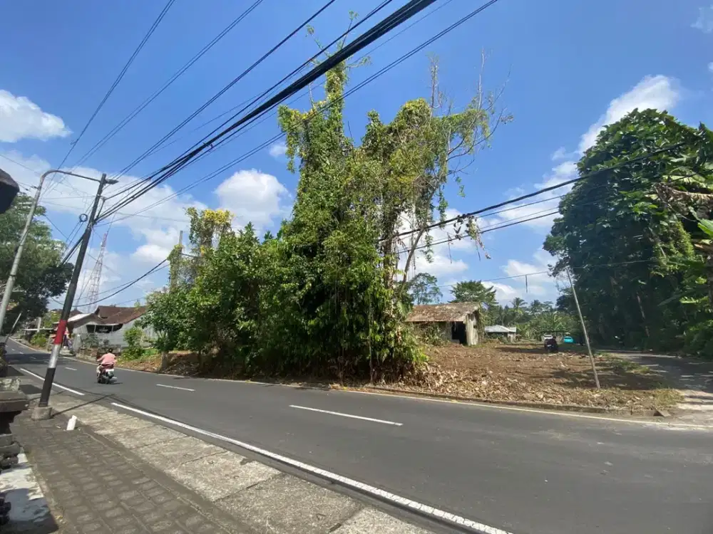 TANAH KAVLING ISTIMEWA DI SEMBUNG MENGWI