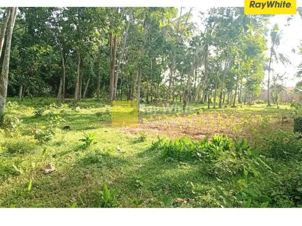 Dijual Tanah di Jati Agung, Lampung Selatan (Kode : HRA 3775)