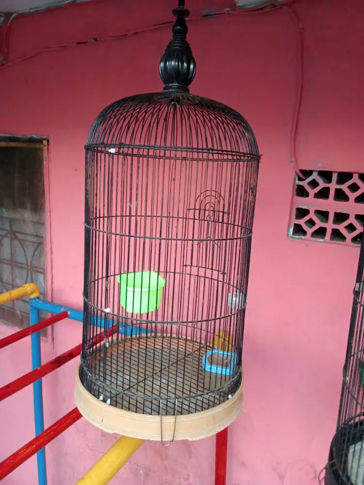 Kandang Burung Besi