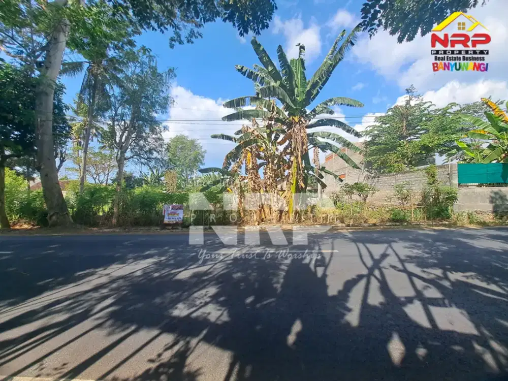 Dijual Tanah Siap Bangun di Ketapang - Banyuwangi