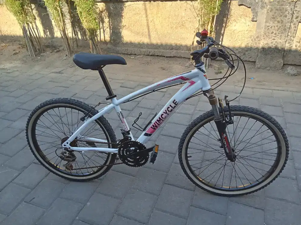 Sepeda MTB WIMCYCLE ROADCHAMP R 24