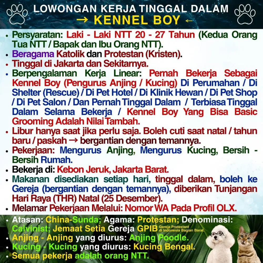 KENNEL BOY ASAL NTT ART LAKI - LAKI ASAL NTT AGAMA KATOLIK & PROTESTAN