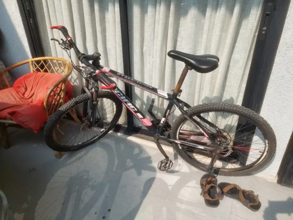 Sepeda MTB pacific absolute tx 1.0