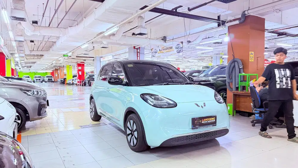 Wuling Binguo Ev Range 333 2024