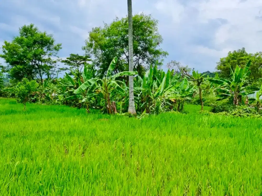 Dijual Tanah pemandangan gunung cijeruk bogor cocok utk villa udara dingin,NEGO SAMPAI DEAL! #tanahcijerukdijual #tanahbogordijual #tanahmurahbogor #