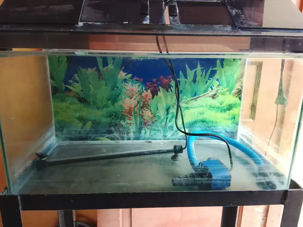 Aquarium 50x50cm +lampu+tutup