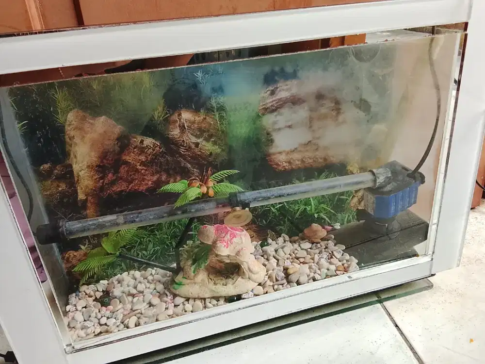 Aquarium model TV tabung 21inc