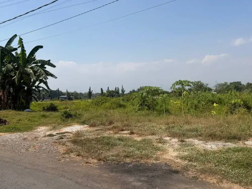 Dijual Tanah Siap Bangun di Nol Jalan Raya Pasuruan Malang di Kejayan Pasuruan
