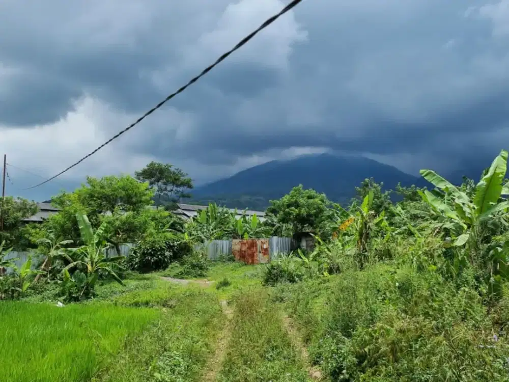 Dijual Tanah pemandangan gunung cijeruk bogor, bagus untuk villa, perkebunan, sekolah dll #tanahcijerukdijual #tanahbogordijual #tanahvillabogor #