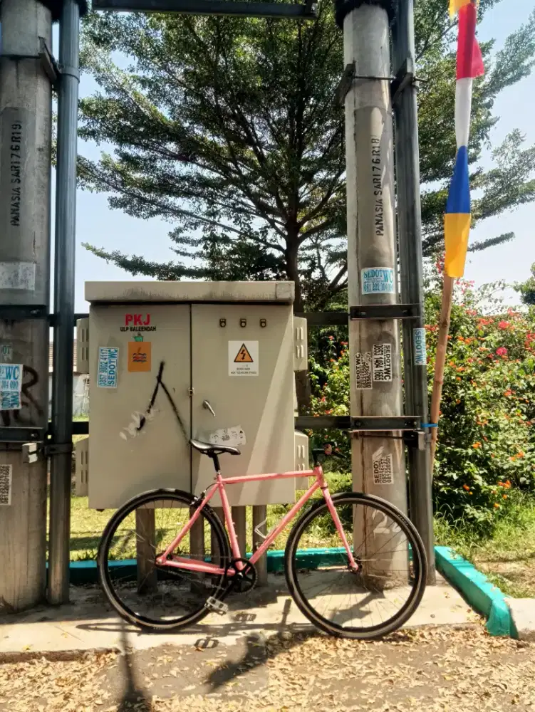 Fixie classic commuter