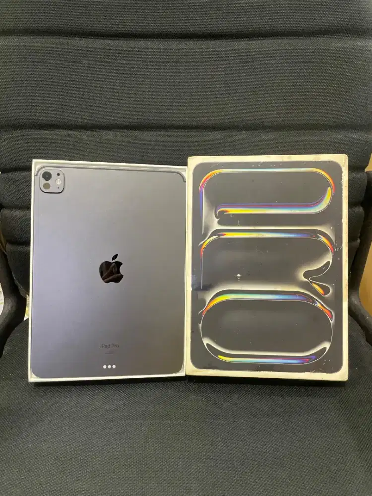 ipad pro m4 8/256 inter wifi only