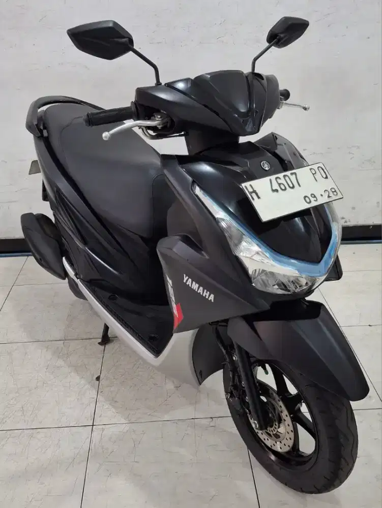 Freego Tahun 2023