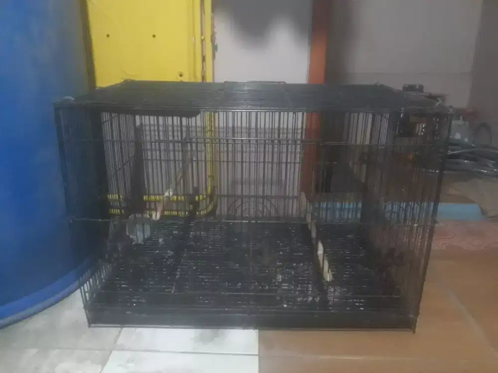 Jual kandang besi