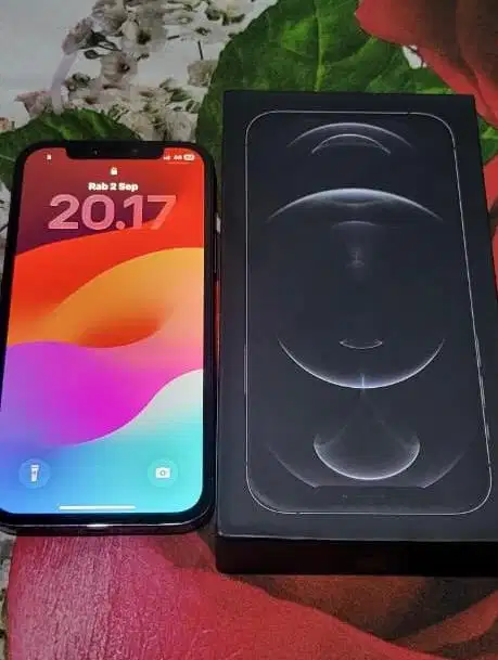 Iphone 12 Pro Inter All Operator