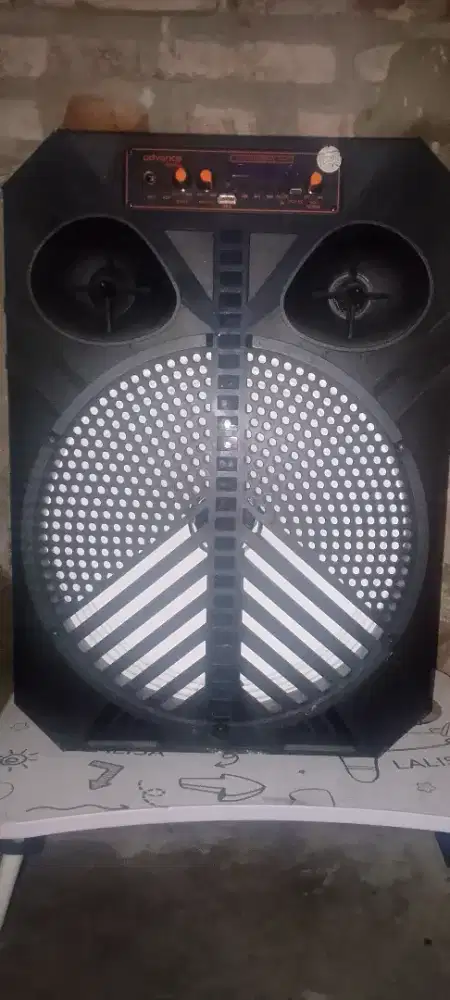 Speaker advance 12 in