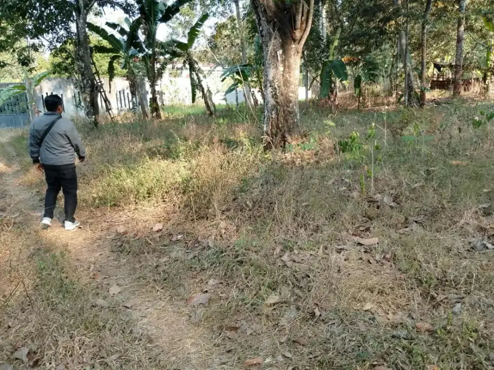 Tanah murah 20 meter dari  RS cepoko edisi BU semarang  gunungpati