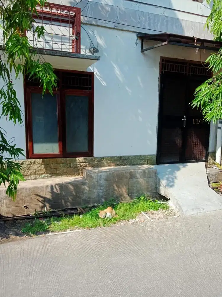 Di kontrkaan rumah