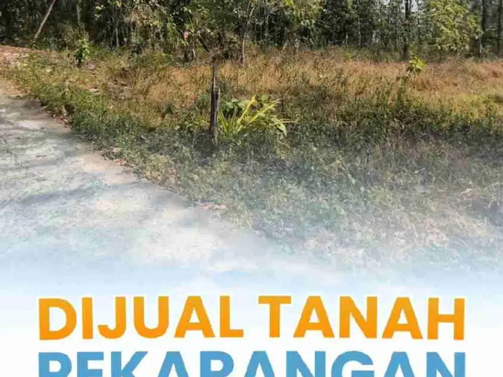 Dijual Tanah Pekarangan Murah Jalan Wates