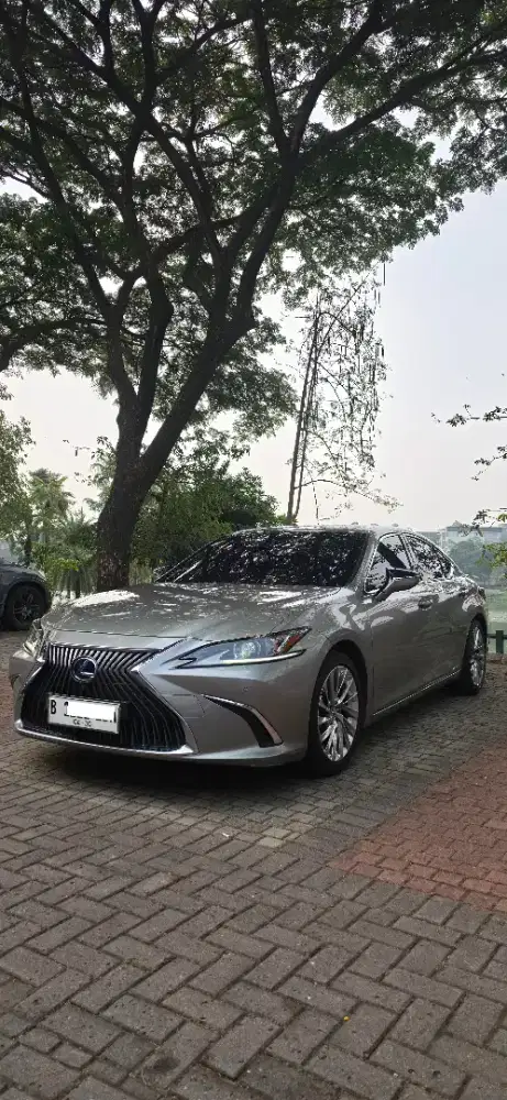 Lexus ES 300 Hybrid Ultra Luxury AT