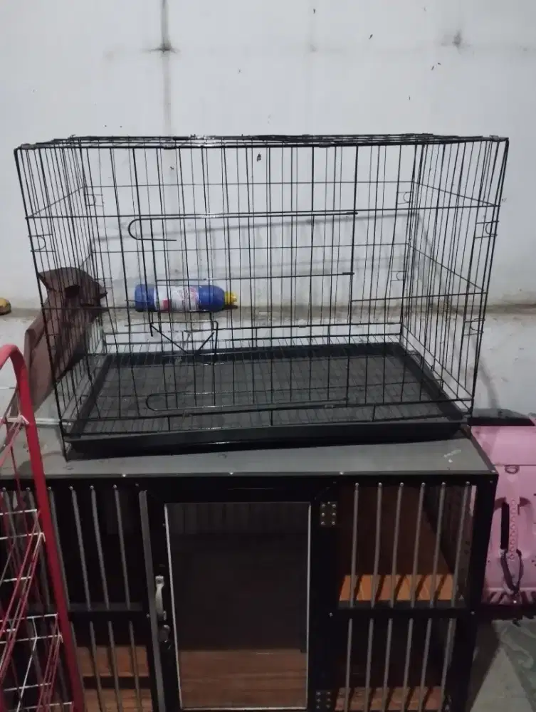 Kandang kucing ukuran besar